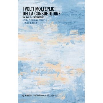 I volti molteplici della consuetudine. Vol. 2: Prospettive