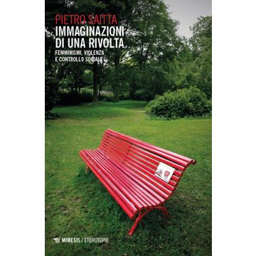 Immaginazioni di una rivolta. Femminismi, violenza e controllo sociale