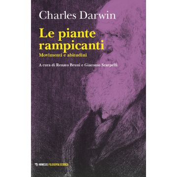 Le piante rampicanti. Movimenti e abitudini