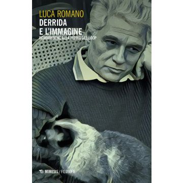 Derrida e l'immagine. Introduzione alla Teoria del Loop