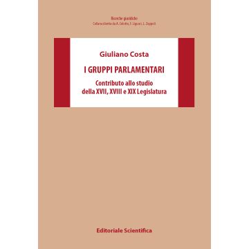 I gruppi parlamentari. Contributo allo studio della XVII,XVIII,XIX Legislatura