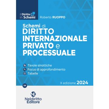 Schemi di diritto internazionale provato e processuale 2024 - Neldiritto