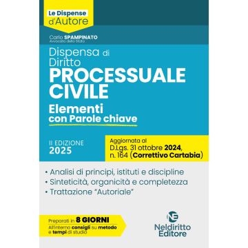 Dispensa di Procedura Civile 2025. Aggiornata al Decreto Correttivo Cartabia D.Lgs. 31 ottobre 2024, n. 164 (Neldiritto)