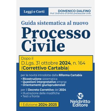 Guida sistematica al nuovo processo civile aggiornato al Decreto Correttivo Cartabia D.Lgs. 31 ottobre 2024, n. 164