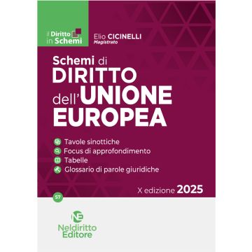 Schemi di diritto dell'Unione Europea 2025 - Neldiritto
