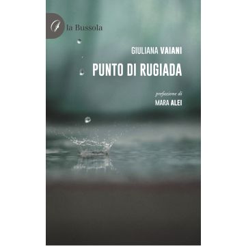 Punto di rugiada