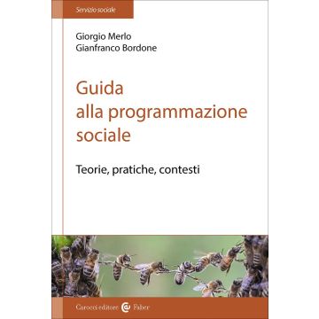 Guida alla programmazione sociale. Teorie, pratiche e contesti