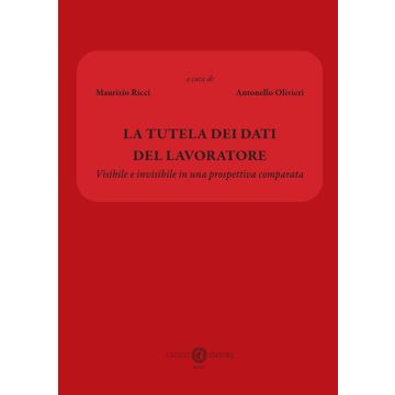 La tutela dei dati del lavoratore. Visibile e invisibile in una prospettiva comparata