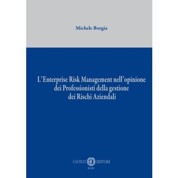 L'Enterprise Risk Management nell'opinione dei professionisti della gestione dei rischi aziendali. Nuova ediz.