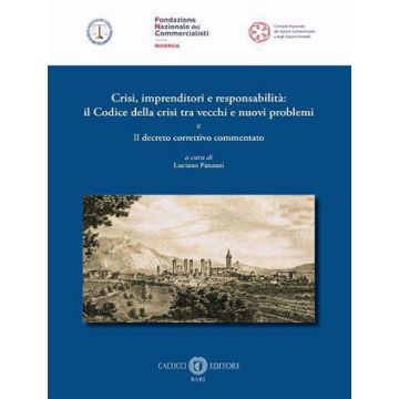 Crisi, imprenditori e responsabilità: il Codice della crisi tra vecchi e nuovi problemi e il decreto correttivo commentato