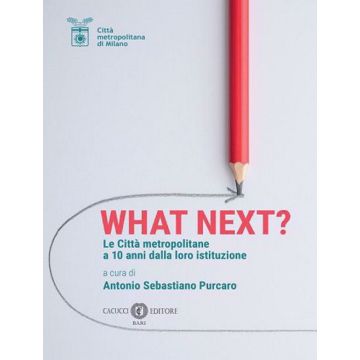 What Next? Le città metropolitane a 10 anni dalla loro istituzione