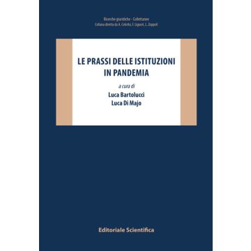 Le prassi delle istituzioni in pandemia