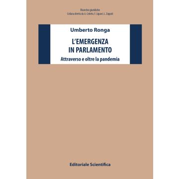 L'emergenza in parlamento. Attraverso e oltre la pandemia