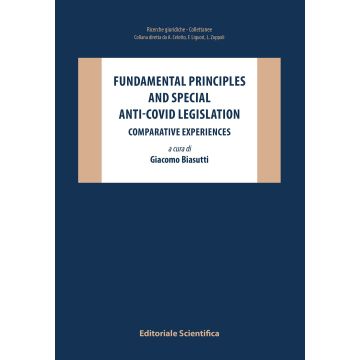Fundamental principles and special anti-covid legislation. Comparative experiences