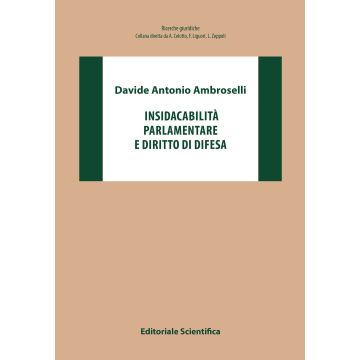 Insindacabilità parlamentare e diritto di difesa