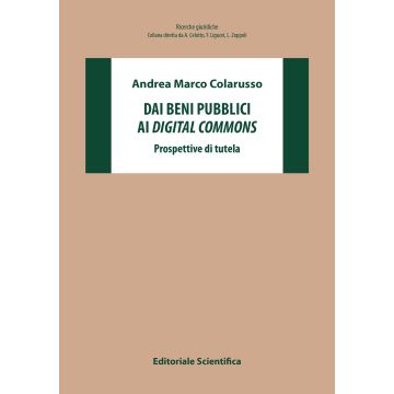 Dai beni pubblici ai digital commons. Prospettive di tutela