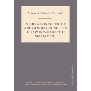 International custom and general principles of law in WTO disputes settlement