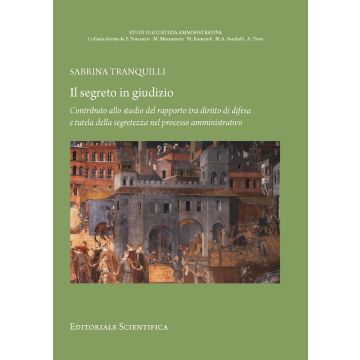 Il segreto in giudizio. Contributo allo studio del rapporto tra diritto di difesa e tutela della segretezza nel processo amministrativo