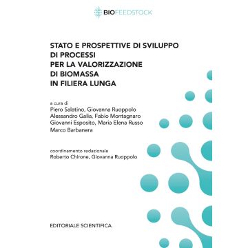 Stato e prospettive di sviluppo di processi per la valorizzazione di biomassa in filiera lunga