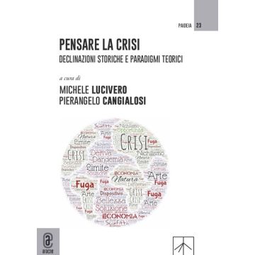 Pensare la crisi. Declinazioni storiche e paradigmi teorici