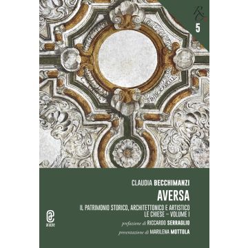 Aversa. Il patrimonio storico, architettonico e artistico. Vol. 1: Le chiese