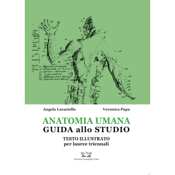 Anatomia umana. Guida allo studio. Testo illustrato per lauree triennali [Lucariello Angela;Papa Veronica - Edizioni Scientifiche Falco]