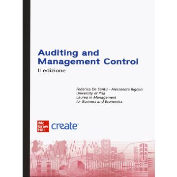 Auditing and management control