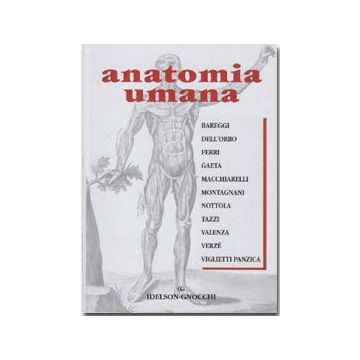 Anatomia Umana