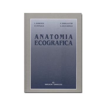 Anatomia ecografica