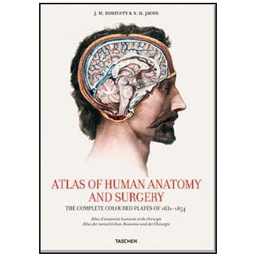ATLAS OF HUMAN ANATOMY AND SURGERY - The complet coloured plates of 1831 - 1854 (Ed. Italiana, Spagnola, Portoghese)