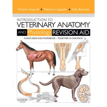 Introduction to Veterinary Anatomy and Physiology Revision Aid Package  -Workbook and Flashcards