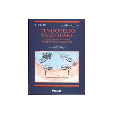 L'endotelio vascolare