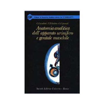 Anatomia analitica dell' Apparato Urinifero e Genitale Maschile