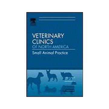 New Treatment Options for Cancer Patients, An Issue of Veterinary Clinics: Small Animal Practice Volume 37-6