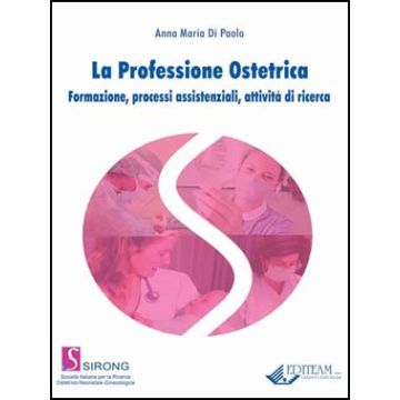 La Professione Ostetrica. Formazione, processi assistenziali, attivita' di ricerca