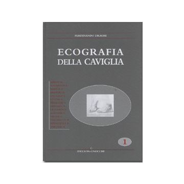 Ecografia della Caviglia