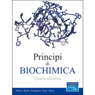 Principi di biochimica 4/Ed.