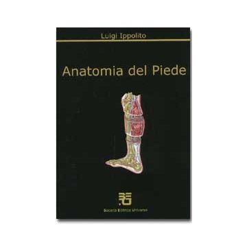 Anatomia del Piede