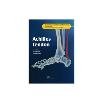 Achilles Tendon