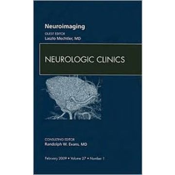 Neuroimaging, An Issue of Neurologic Clinics Volume 27-1