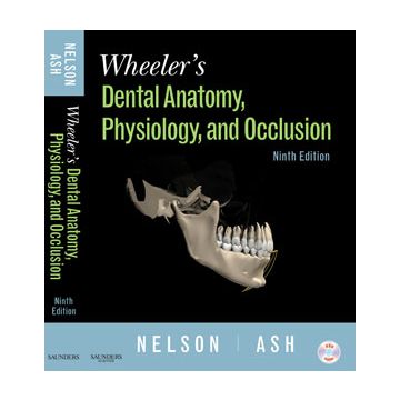 Wheeler's Dental Anatomy, Physiology and Occlusion, 9th Edition