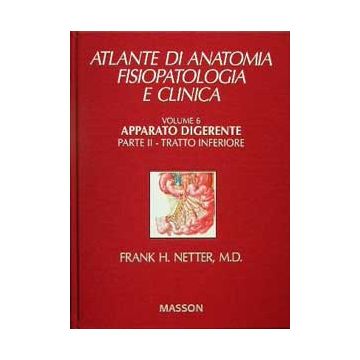 Atlante di anatomia, fisiopatologia e clinica 6.2- Apparato Digerente Inferiore