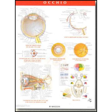 POSTER - Occhio