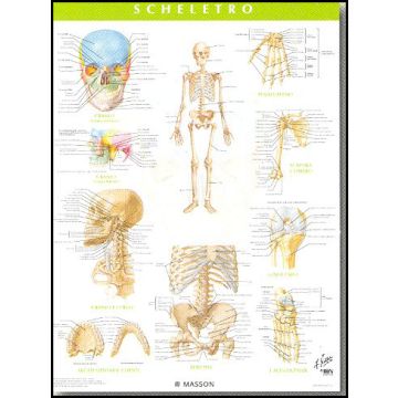 POSTER - Lo Scheletro