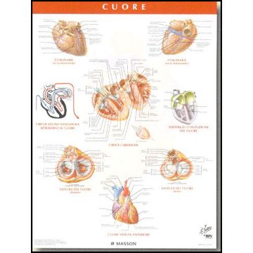 POSTER - Il Cuore