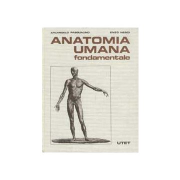 Anatomia umana fondamentale