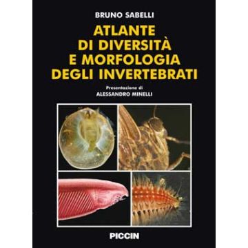Atlante di diversità e morfologia degli invertebrati [Sabelli - Piccin Editore]
