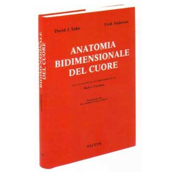 Anatomia bidimensionale del cuore