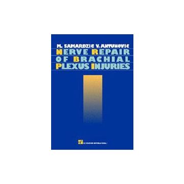 Nerge Repair of Brachial Plexus Injuries