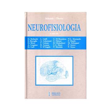 Neurofisiologia